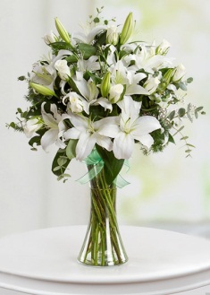 Sadelik Benim Yaşantım