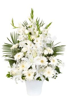 Seramik Aranjman Özel